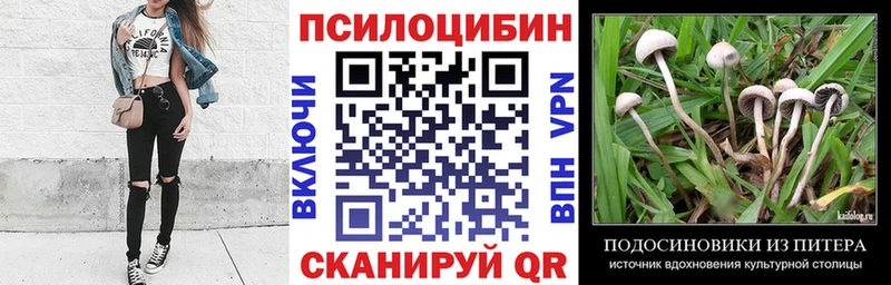Купить  Микунь  Псилоцибиновые грибы GOLDEN TEACHER 
